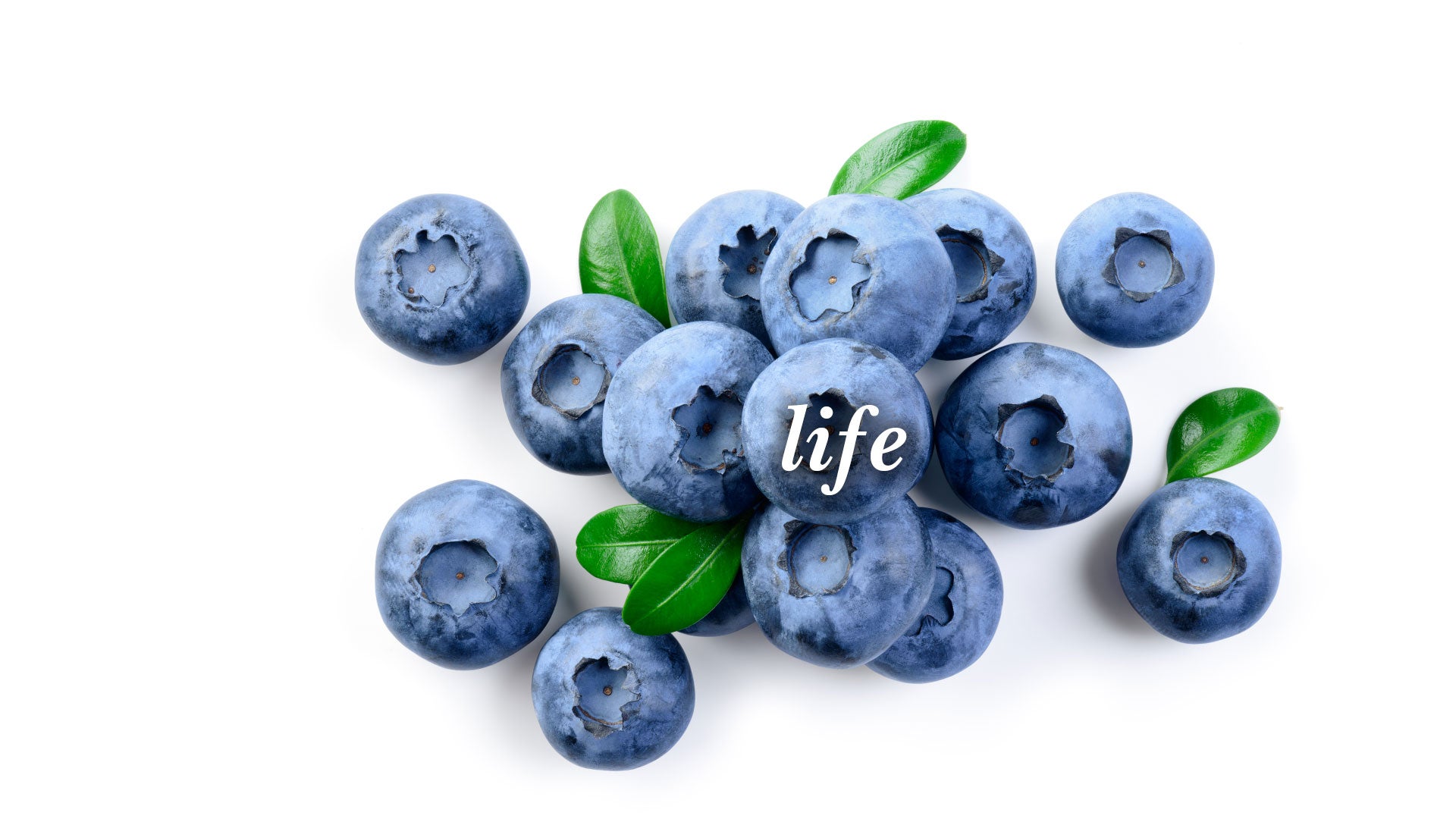 Blueberries with green leaves and the word 'life' written on them